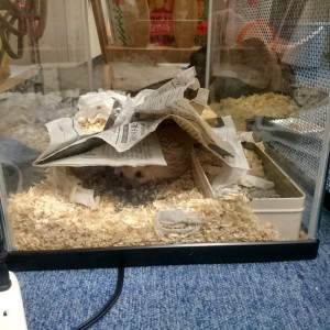 C360_2016-02-01-11-28-45-478