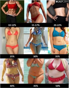 body-fat-percentage-women-551x710