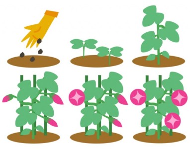 c551b2a8206f15da5c2156fc2771400e