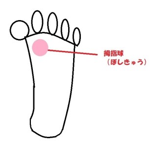 o0551053412276522556